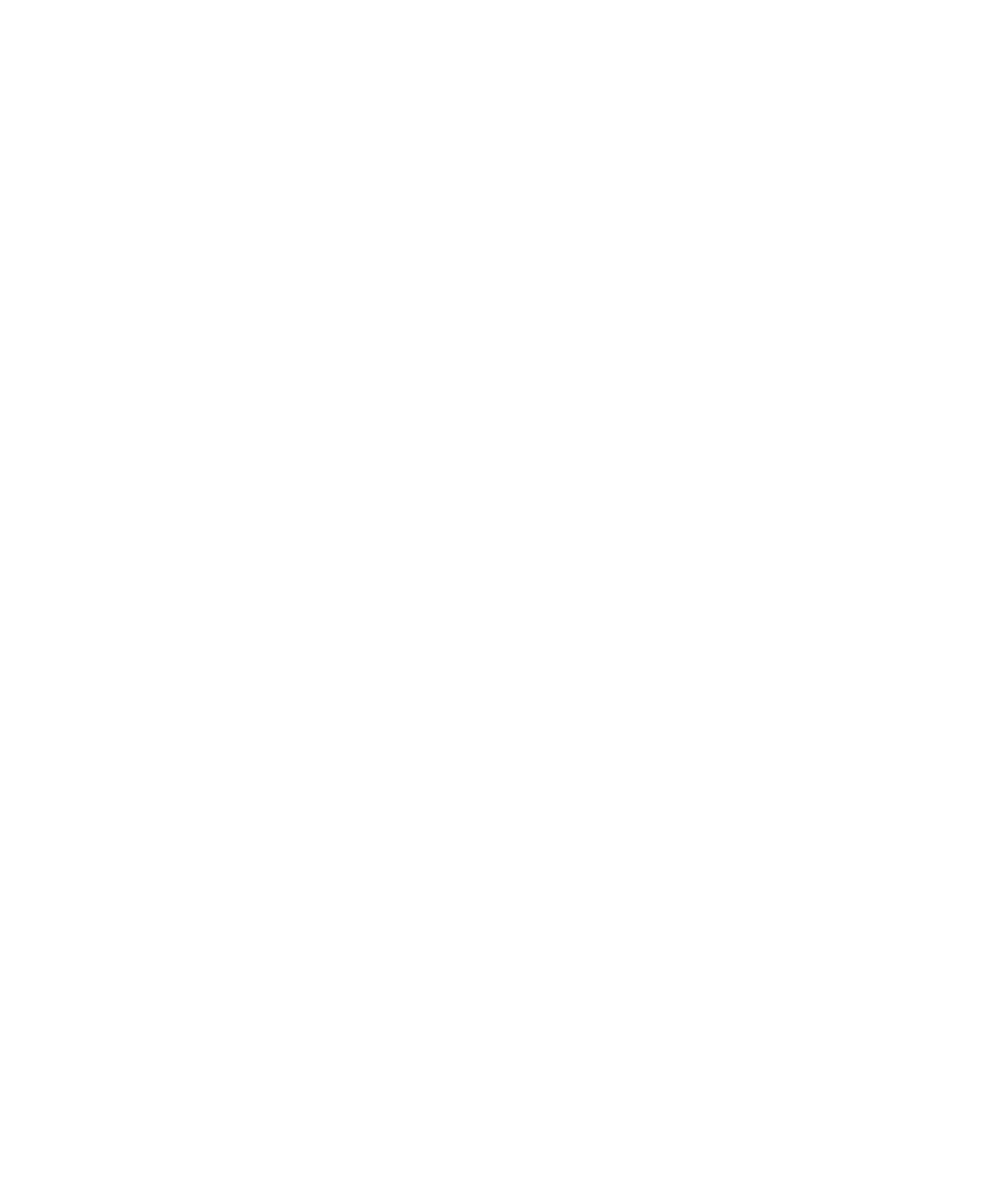 BitSecura-Logo-White