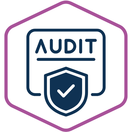 IT Audit